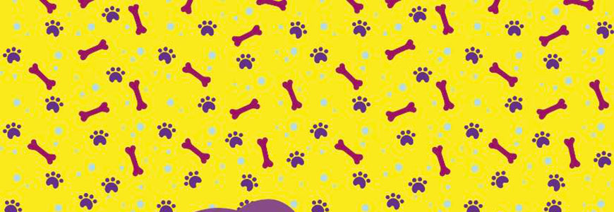 magaza petshop online