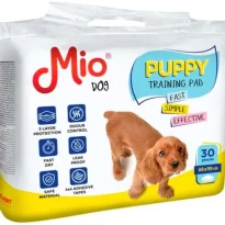 IMG 766001127914026689