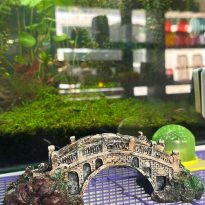 WhatsApp Image 2024 06 29 at 15.41.29