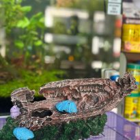 WhatsApp Image 2024 06 29 at 15.43.09