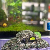 WhatsApp Image 2024 06 29 at 15.44.34