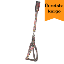 Ücretsiz korgo