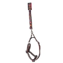 WhatsApp Image 2024 07 06 at 14.38.16