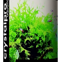 1 Aqua Clear Kesilmiş 2