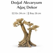 WhatsApp Image 2026 04 08 at 16.14.26